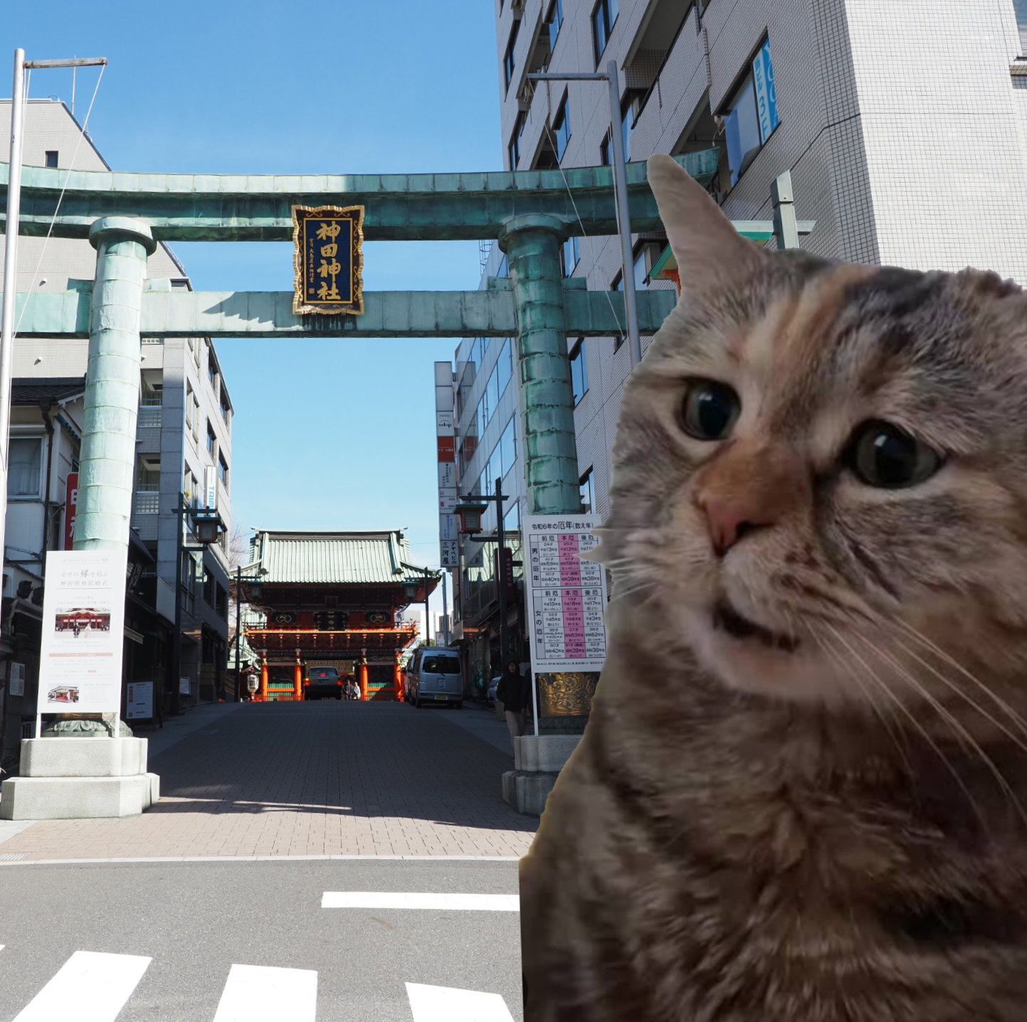 BOMBERさんのプロフィール画像