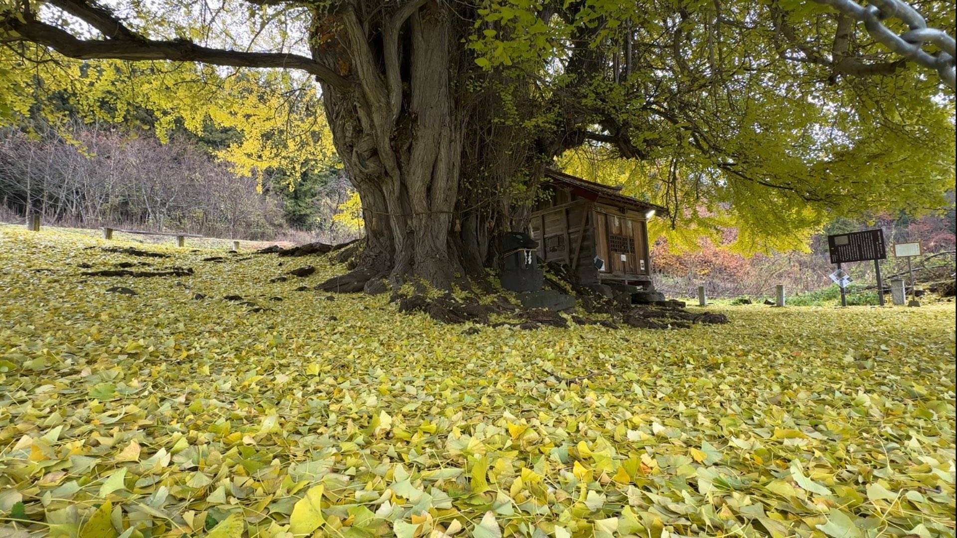 水野雄太さんのプロフィール画像