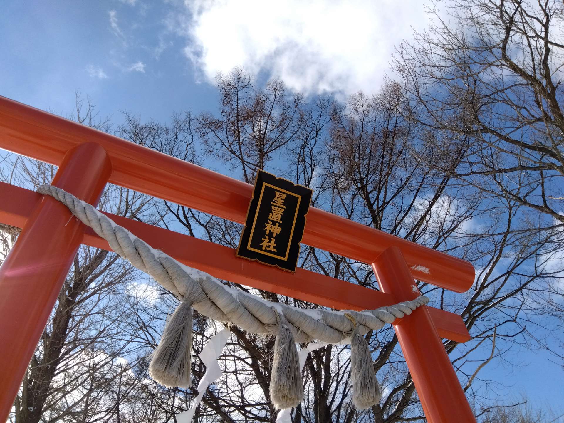 ひだまりタンポポ♪さんのプロフィール画像