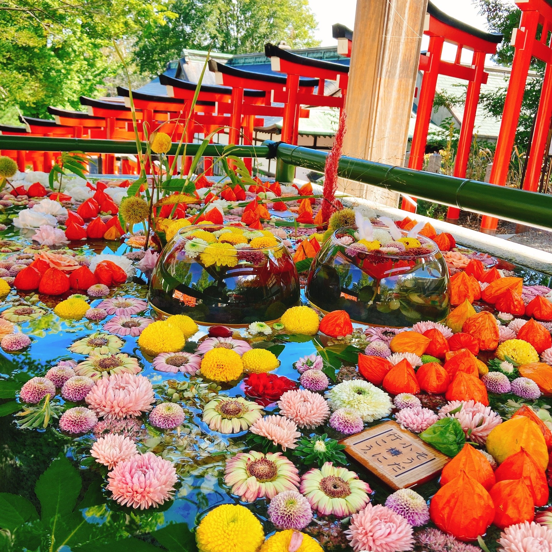 ペッコリさんのプロフィール画像