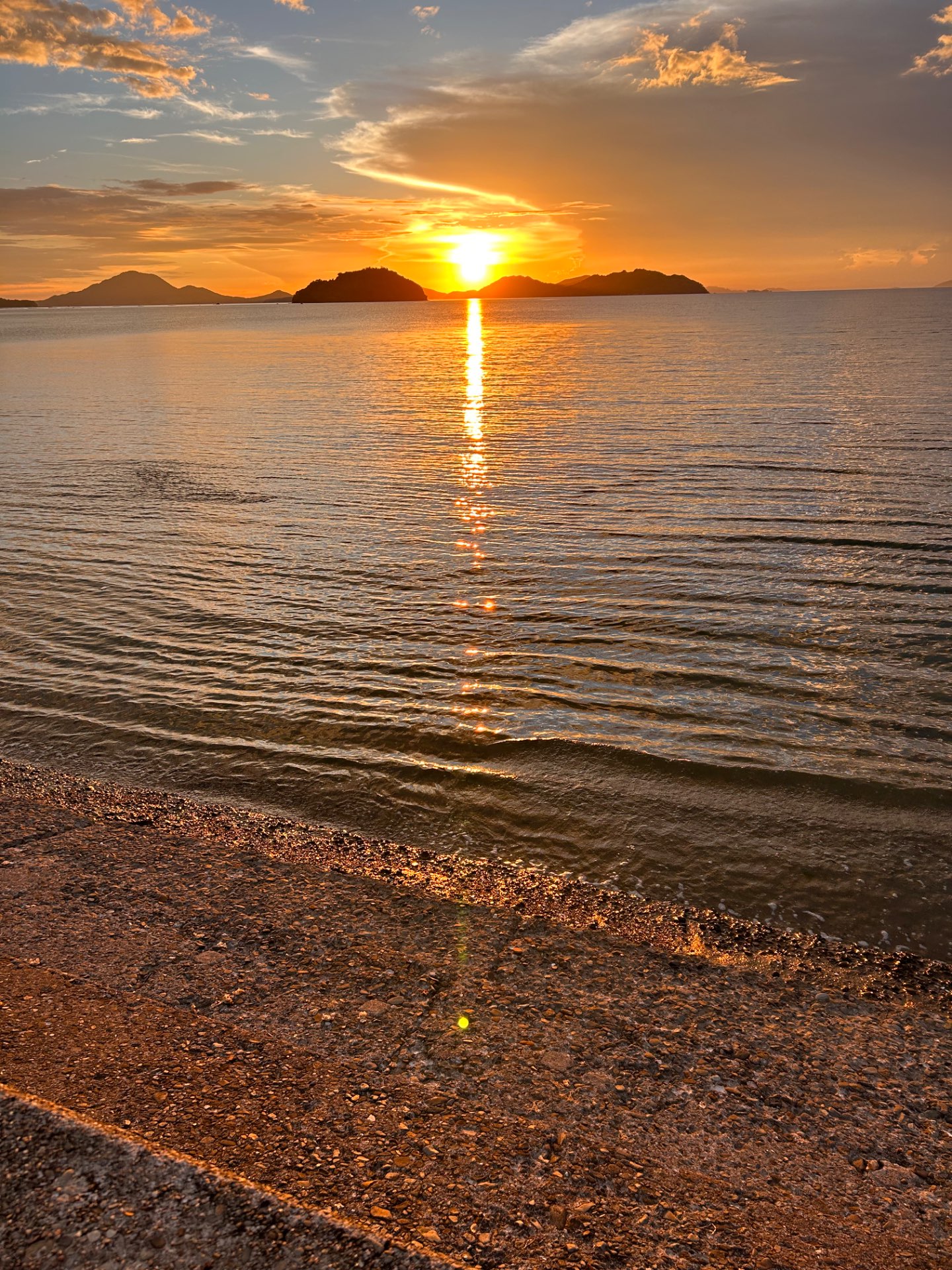 のあ✨️さんのプロフィール画像