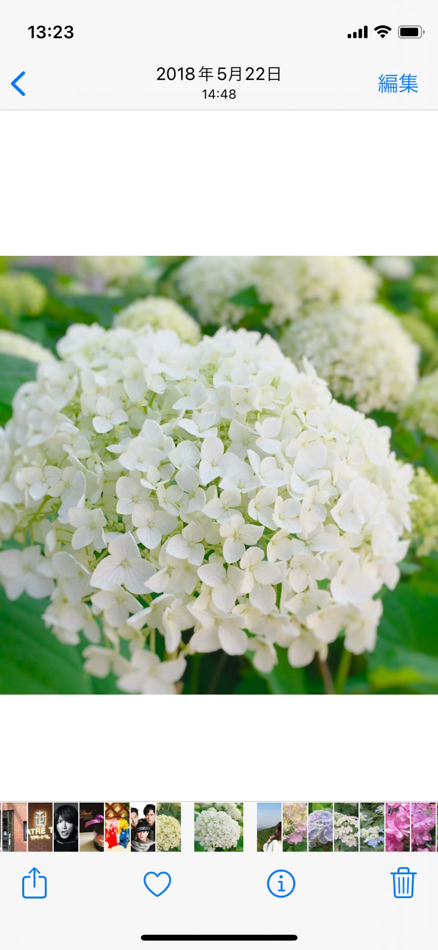 momoさんのプロフィール画像