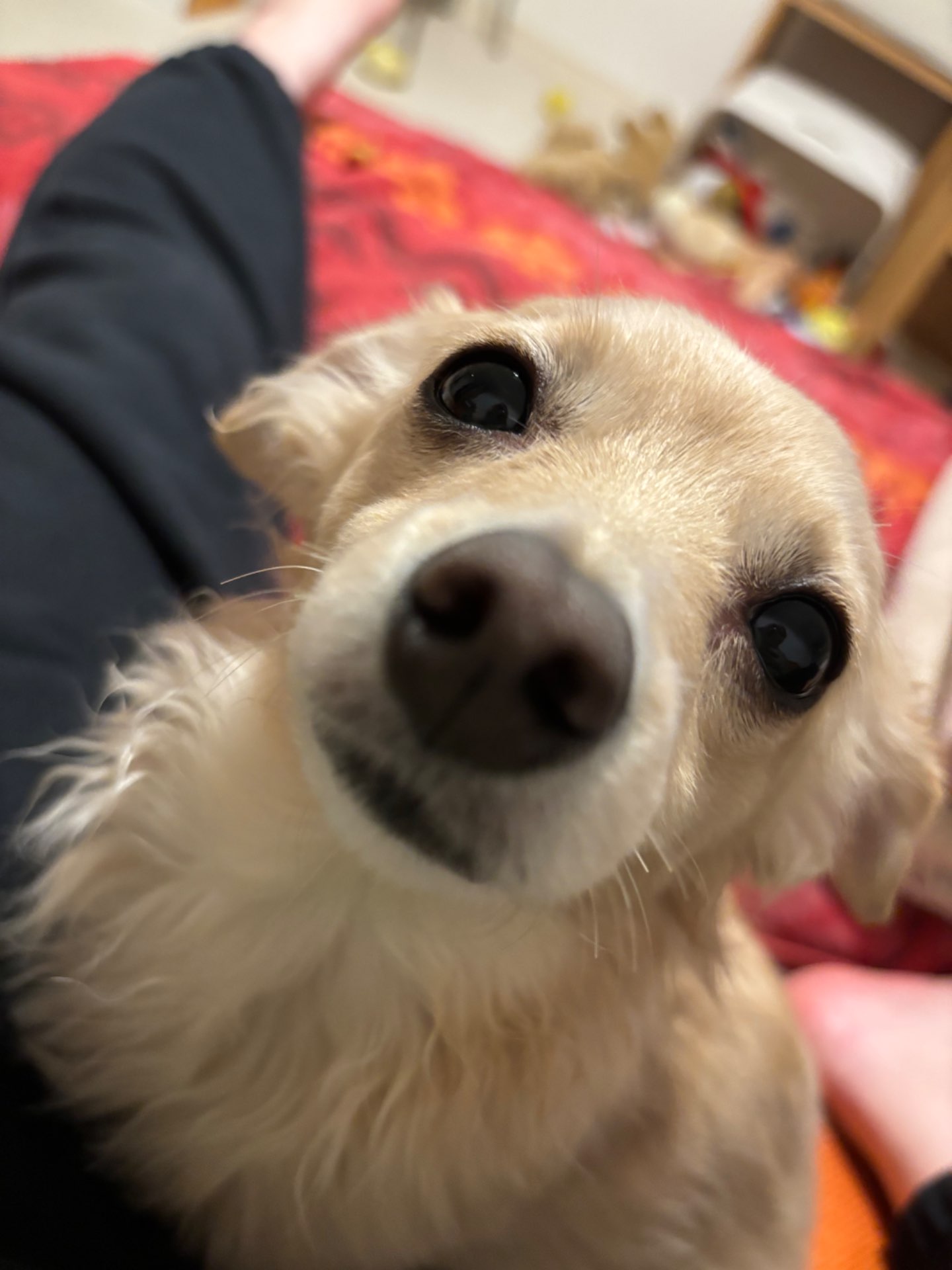 えみりさんのプロフィール画像