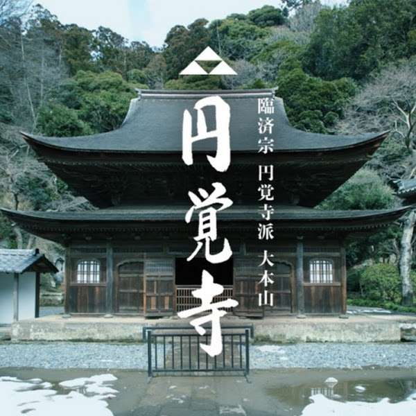 円覚寺さんのプロフィール画像