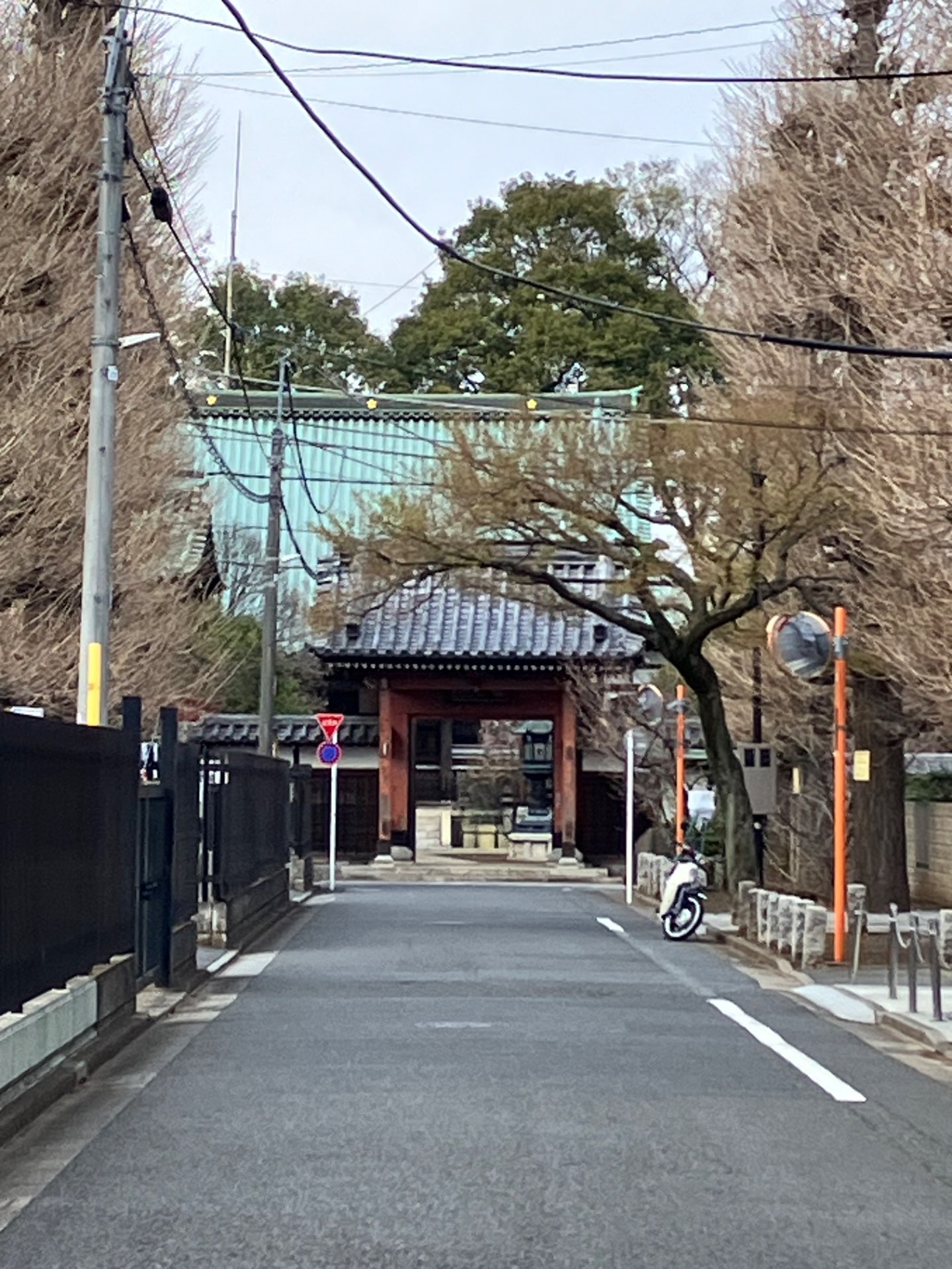 にゃんころもちさんのプロフィール画像