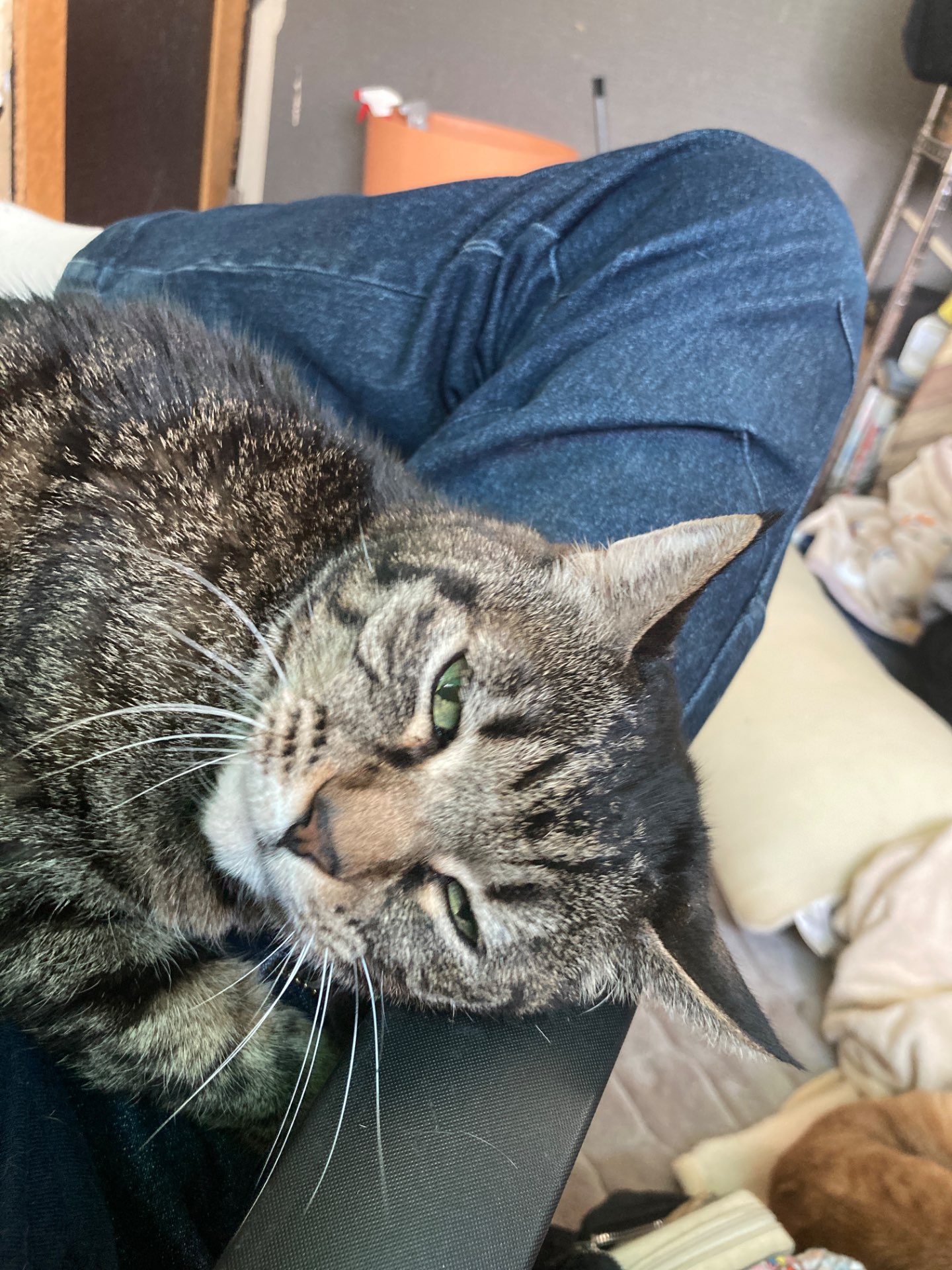 まあすけさんのプロフィール画像