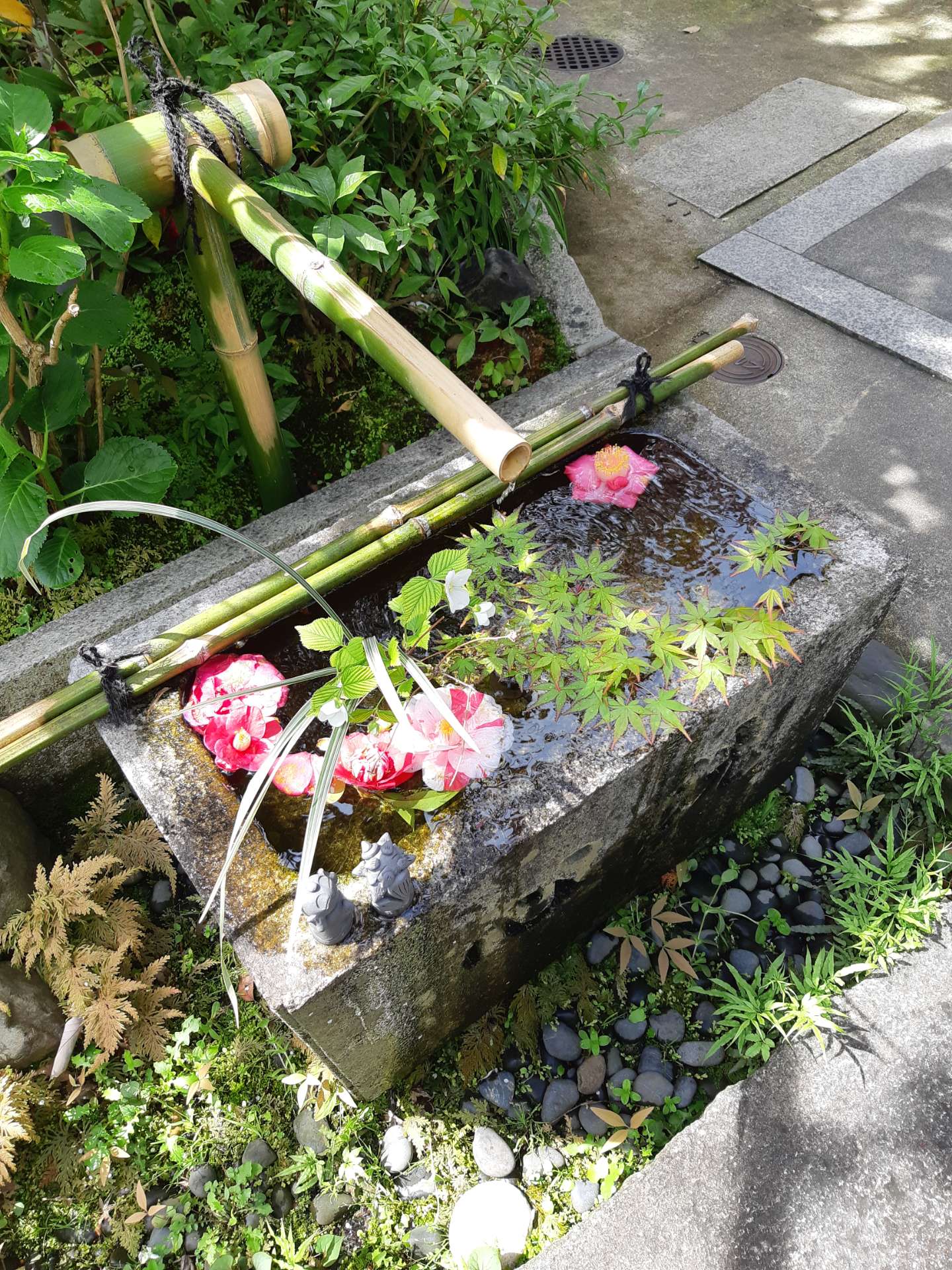 みかんくすさんのプロフィール画像