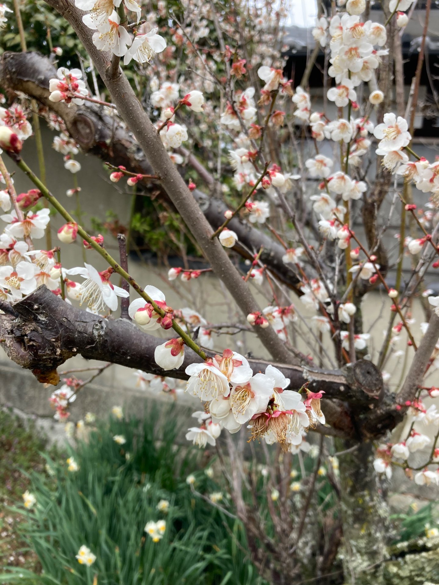 1.3さんのプロフィール画像