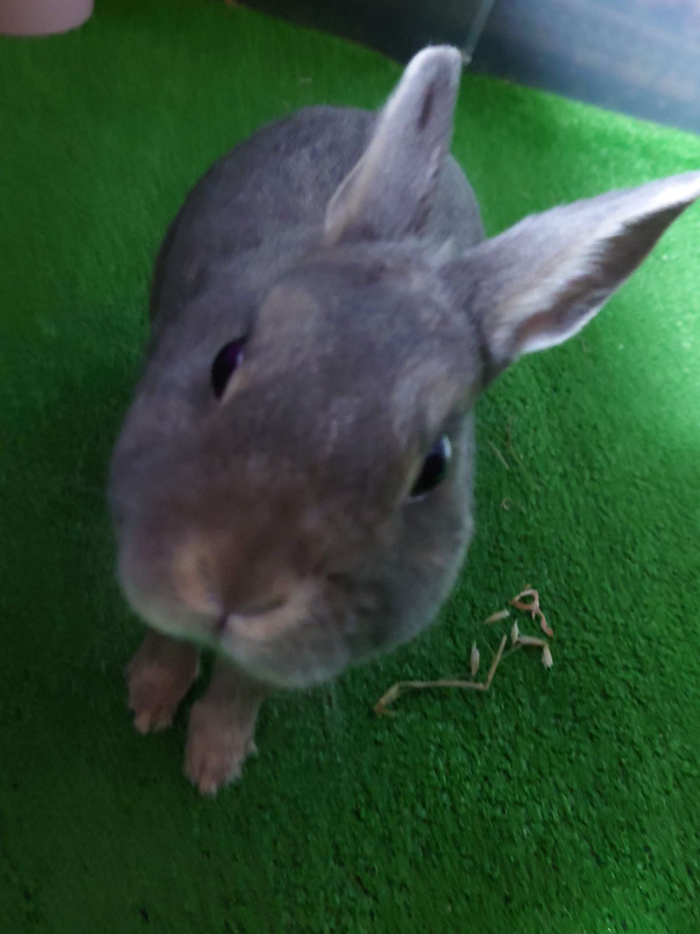 さちさちさんのプロフィール画像