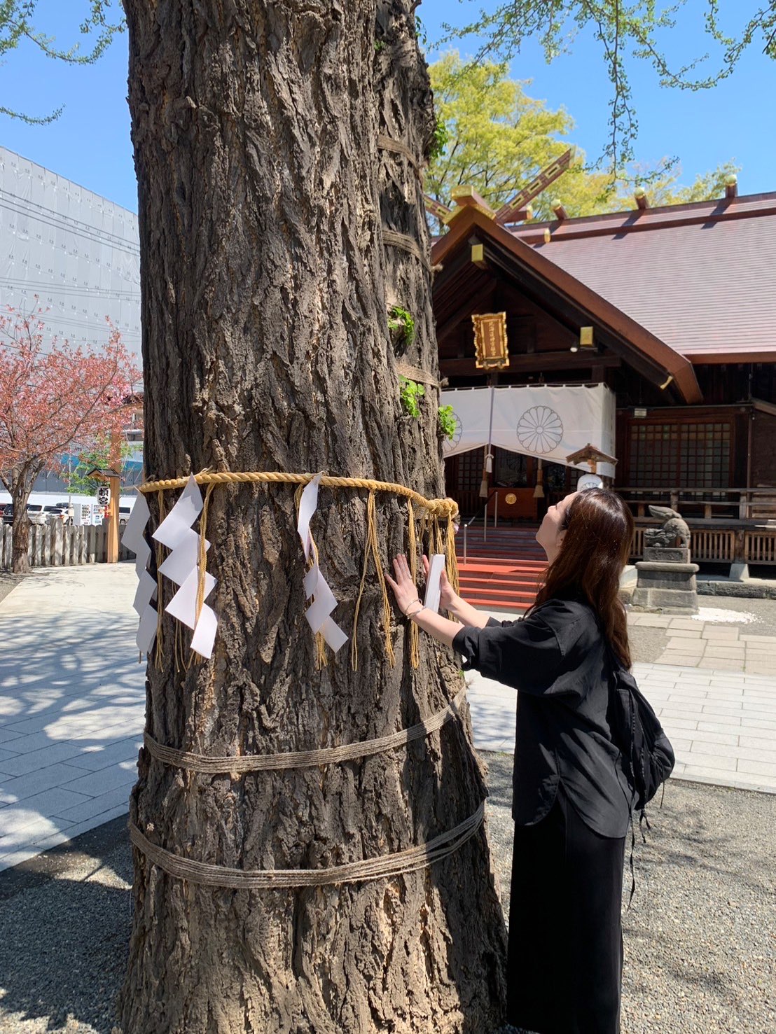 スーパーことらーたさんのプロフィール画像