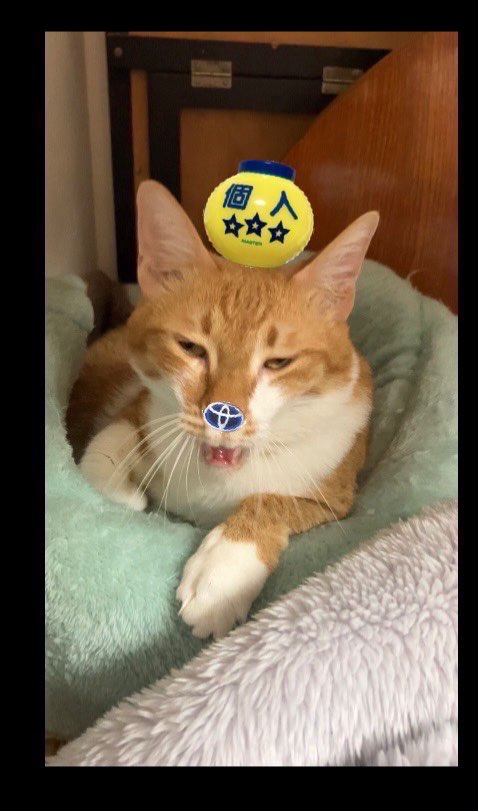 はるゆきねさんのプロフィール画像