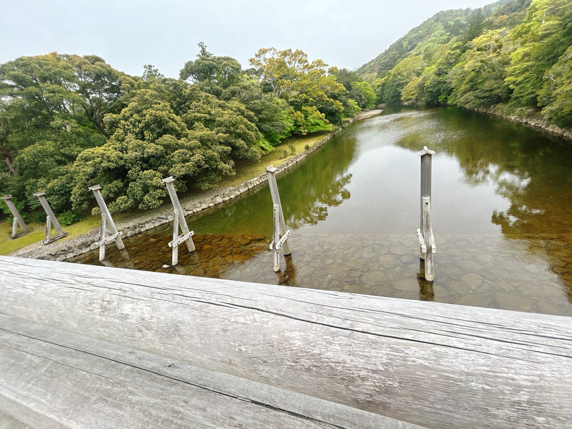 ももんがさんのプロフィール画像