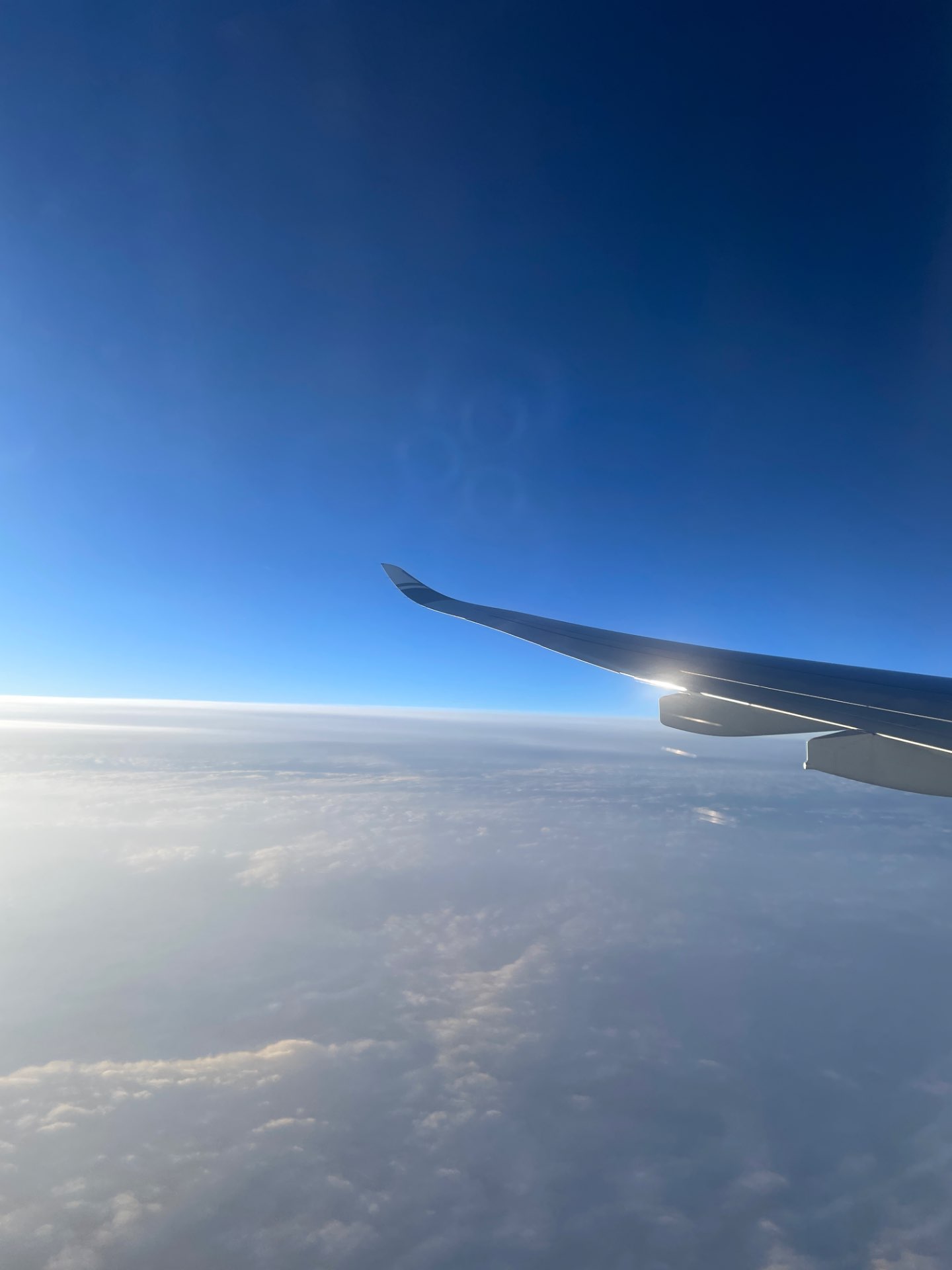 もくさんのプロフィール画像