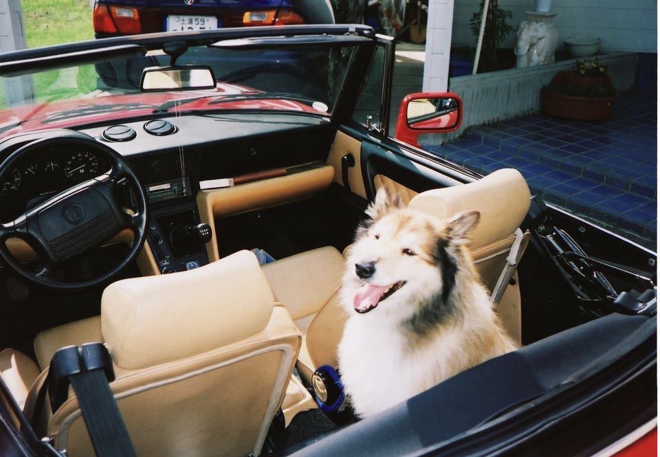 美白男爵さんのプロフィール画像