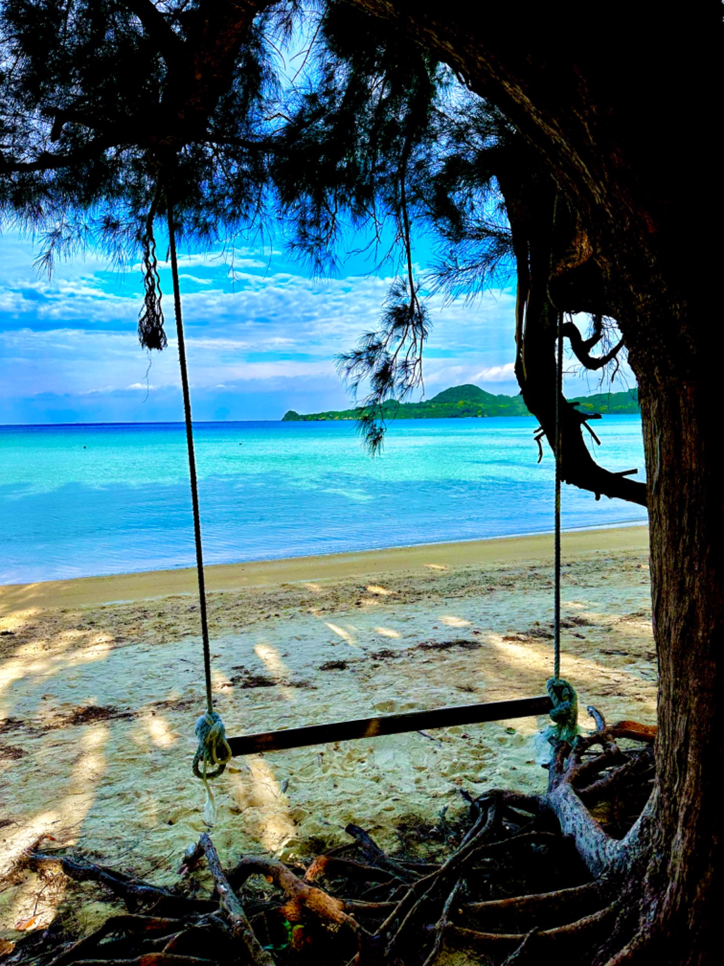 のぶさんさんのプロフィール画像