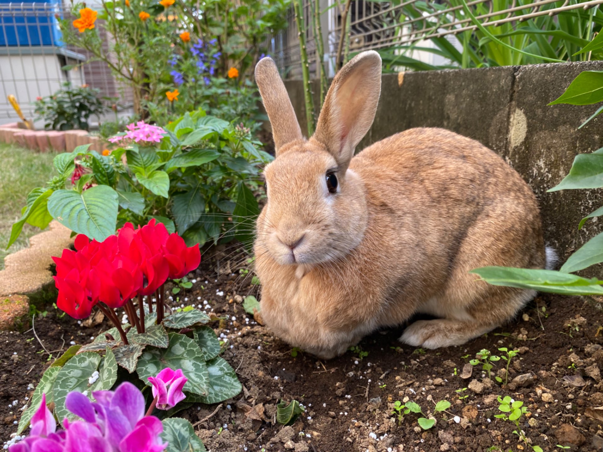 まちとさんのプロフィール画像