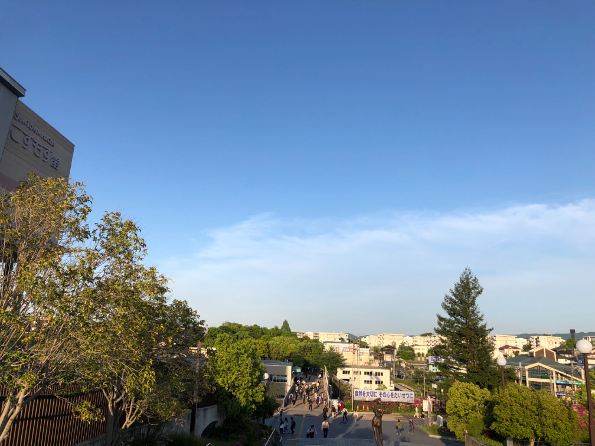 ロコンチャさんのプロフィール画像