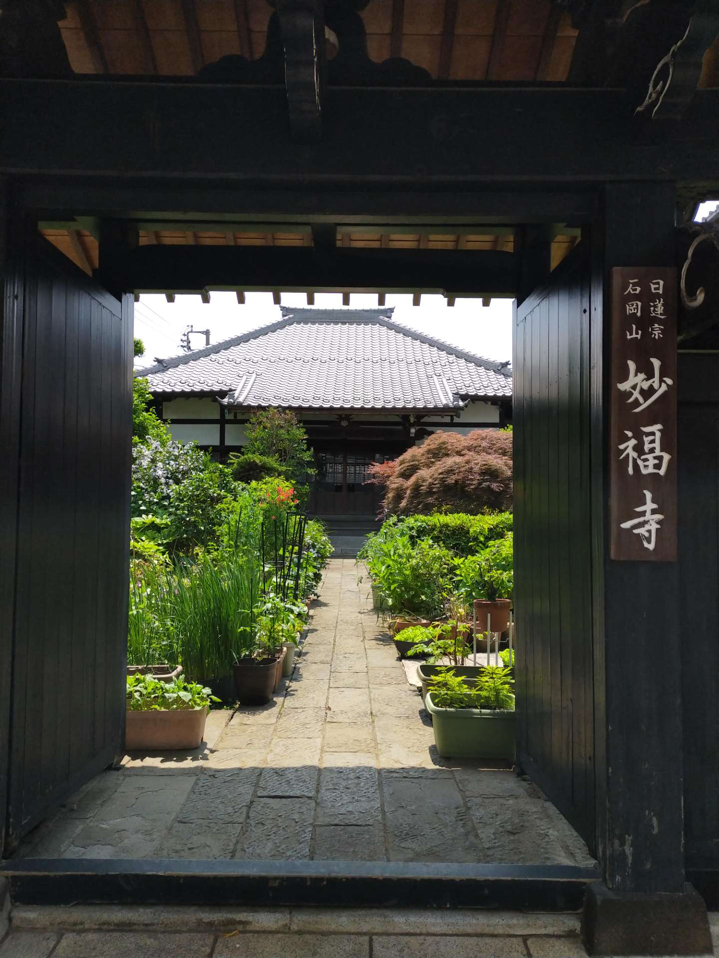 谷中 妙福寺さんのプロフィール画像