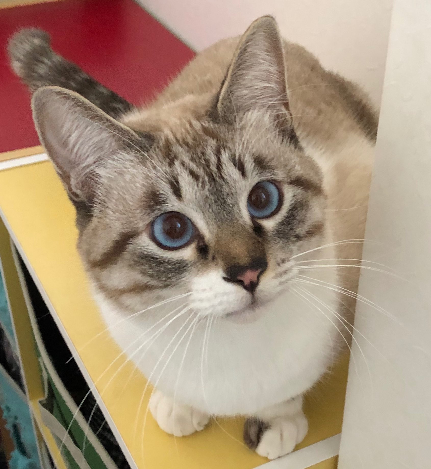 ハルさんさんのプロフィール画像