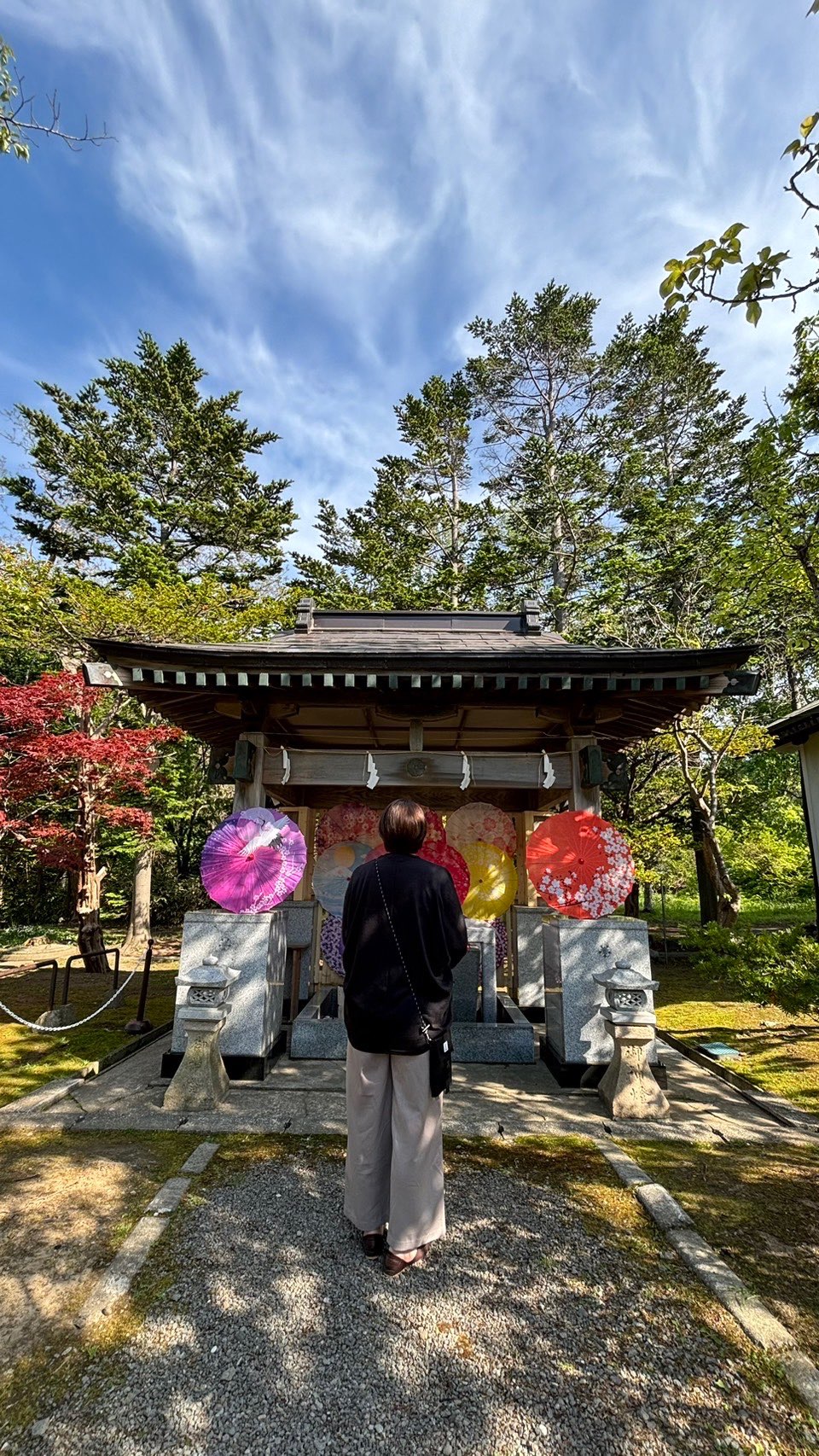 きみまろさんのプロフィール画像