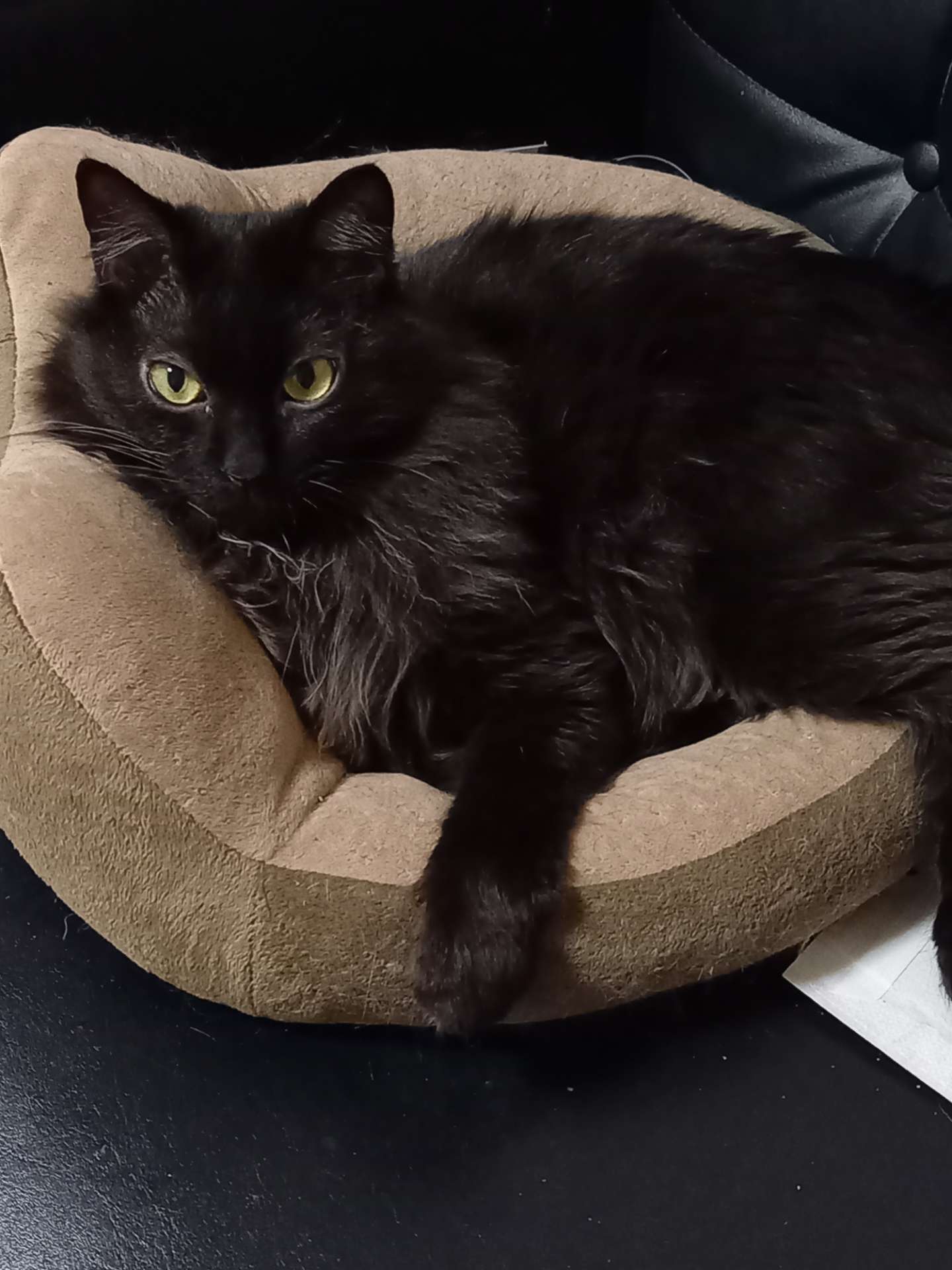 ちびくろっぺさんのプロフィール画像