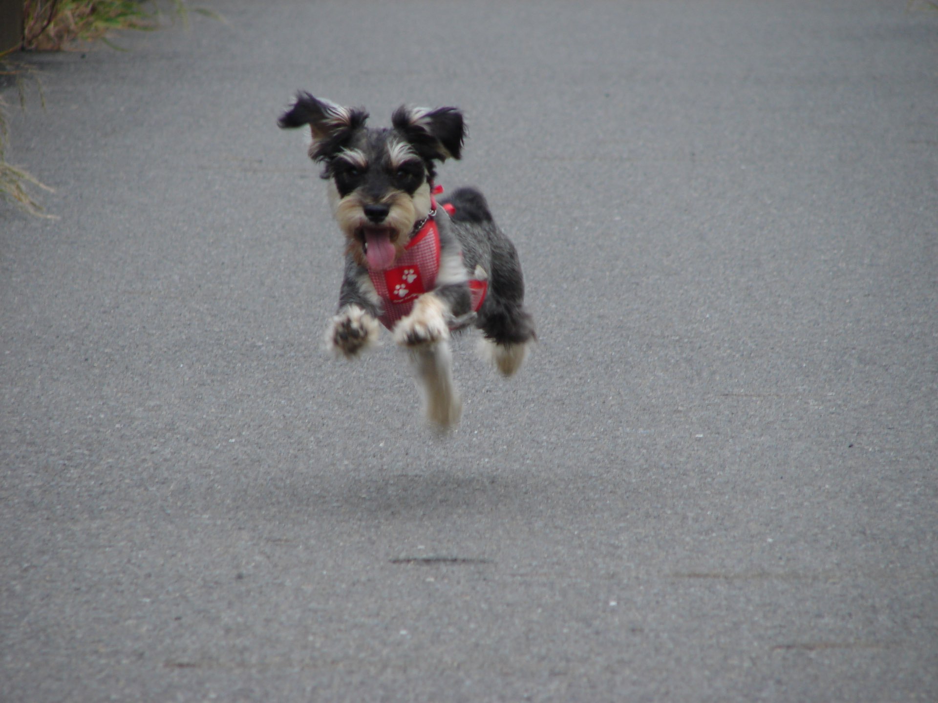 nan_manukeさんのプロフィール画像