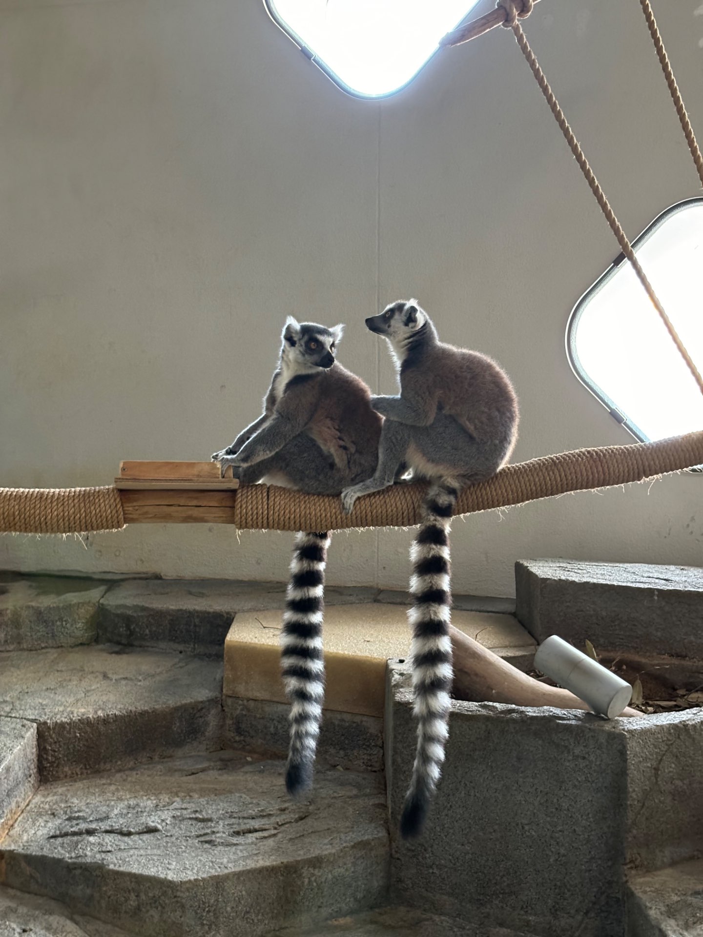 わたし記録さんのプロフィール画像