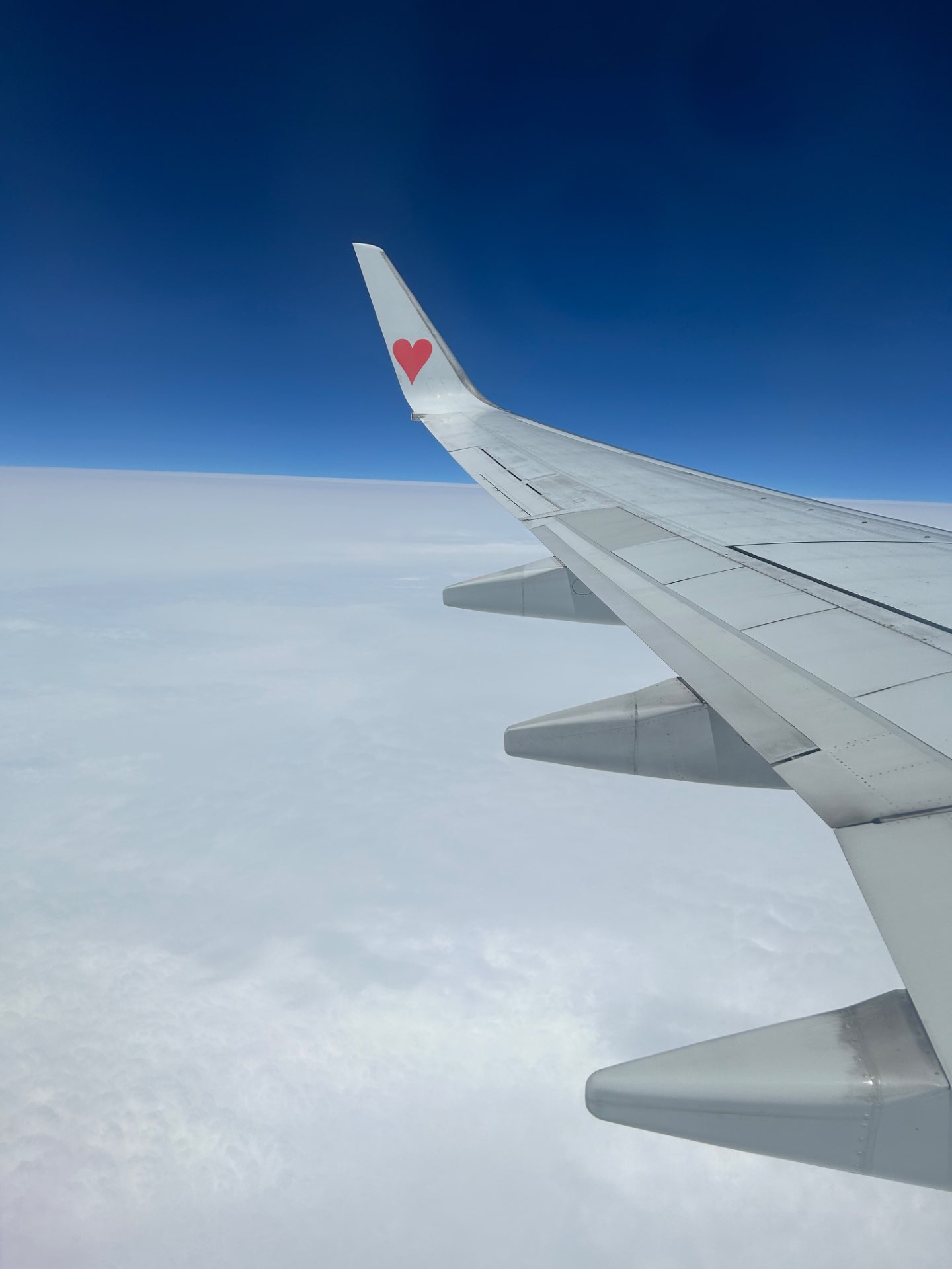 さこさんのプロフィール画像