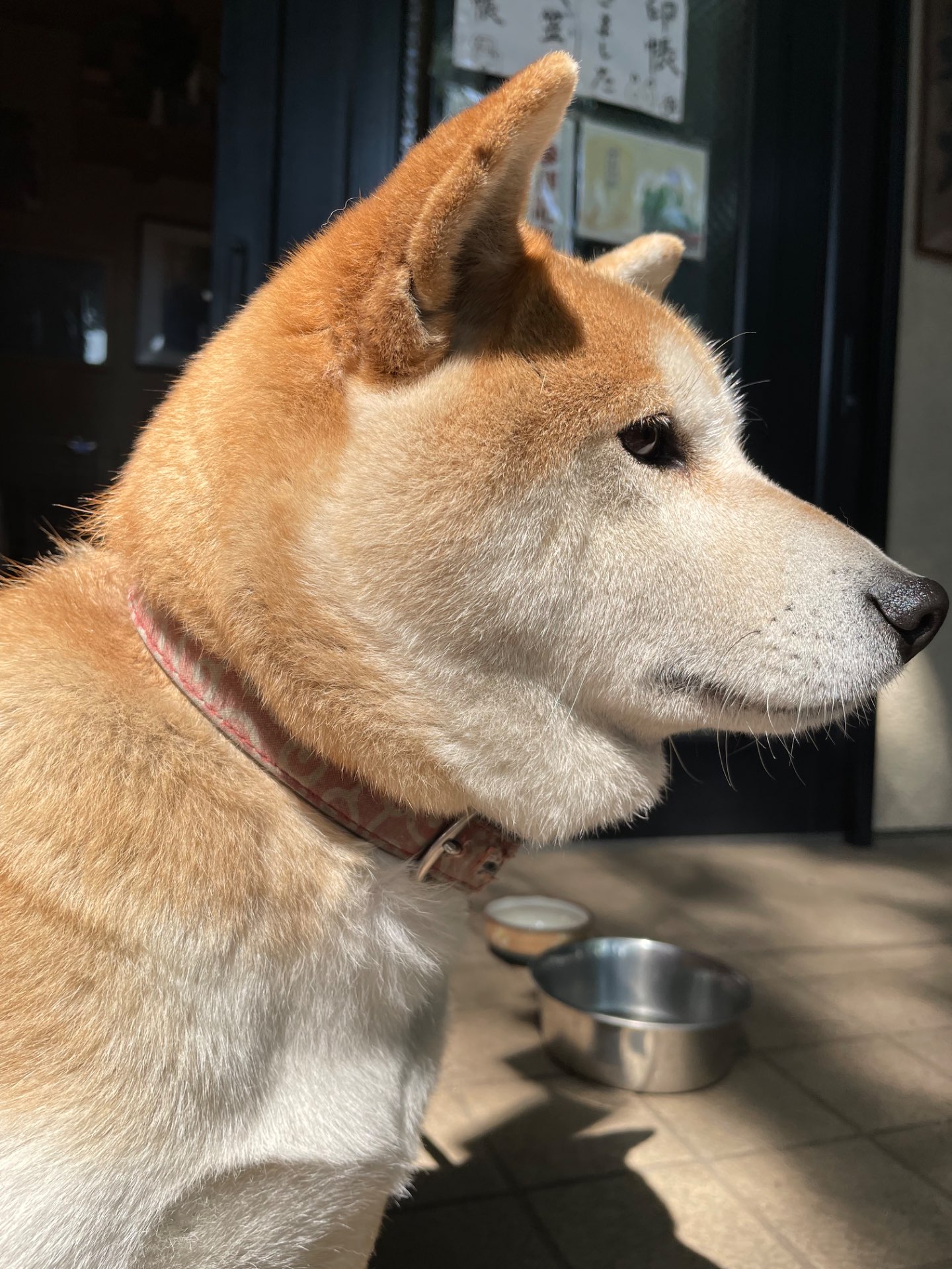 みきてぃさんのプロフィール画像