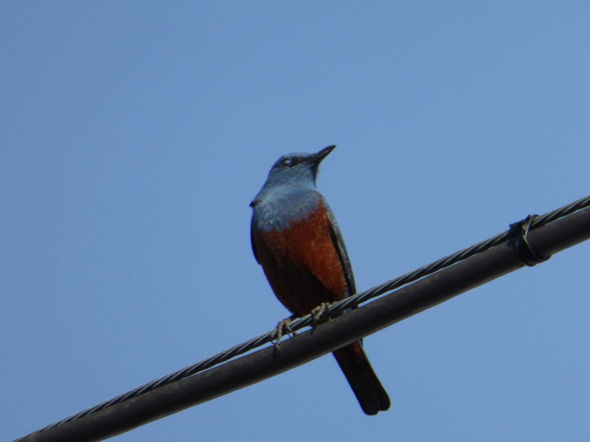 はるかねさんのプロフィール画像