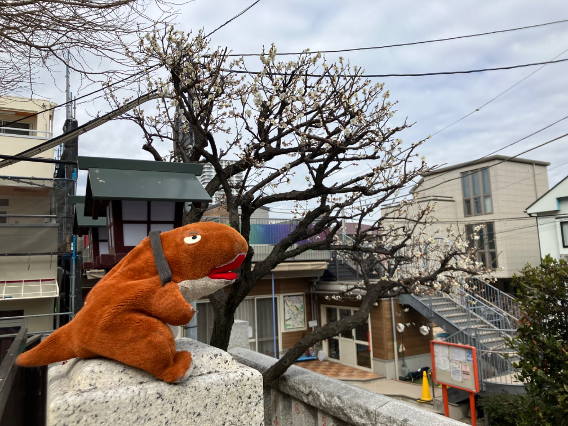 てえすけさんのプロフィール画像