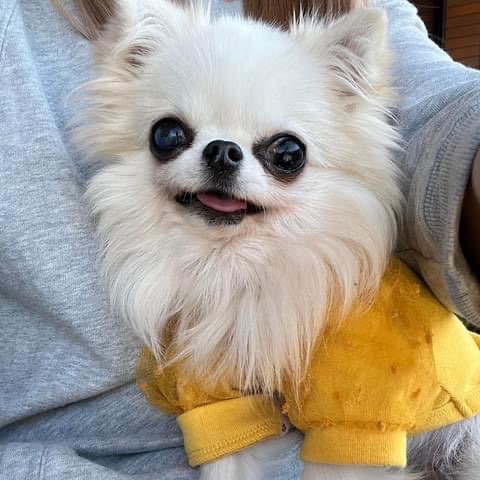 ちー。さんのプロフィール画像