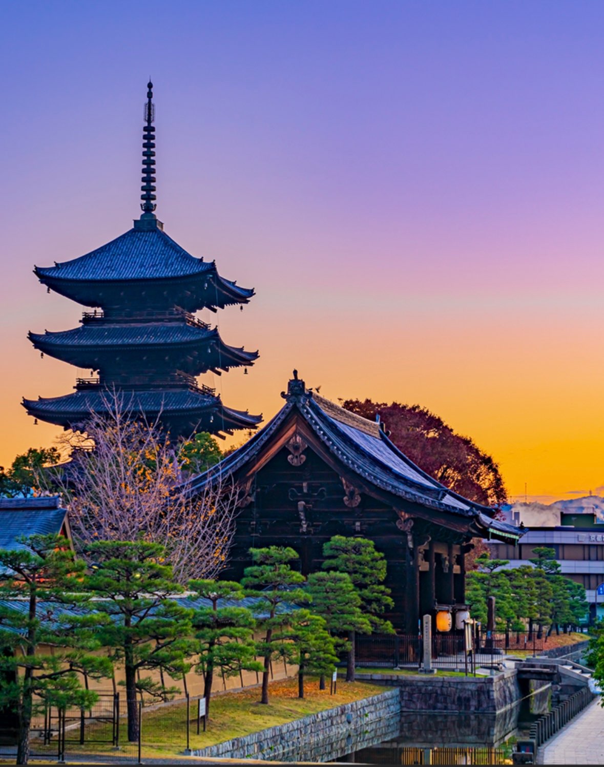 ようさんのプロフィール画像