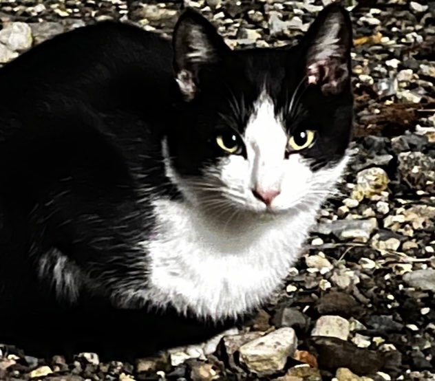 ゆーたさんのプロフィール画像