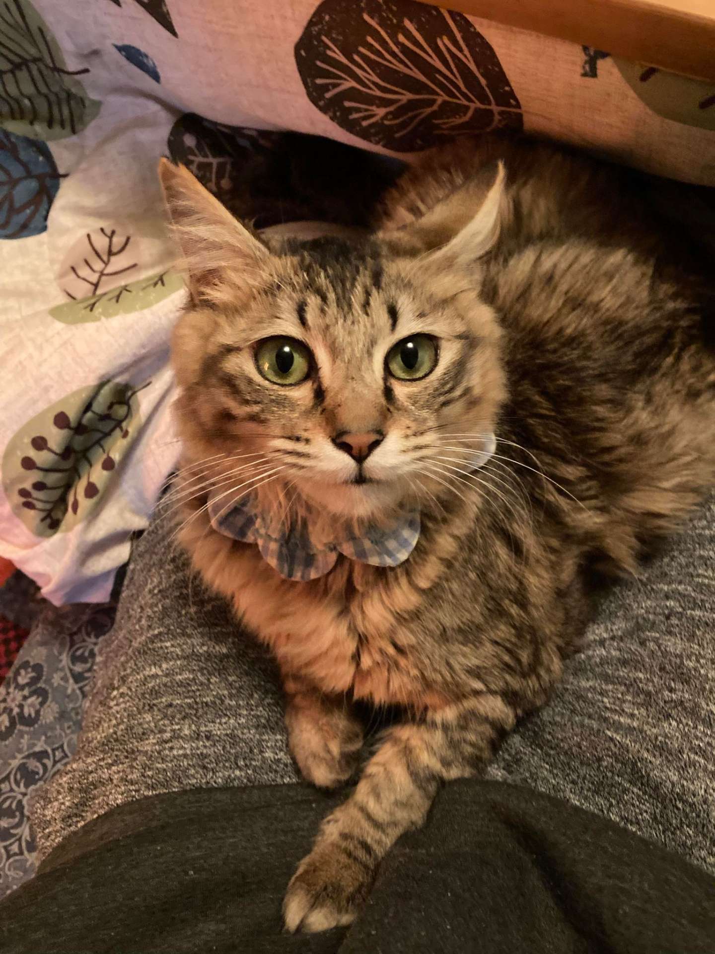 yasuさんのプロフィール画像