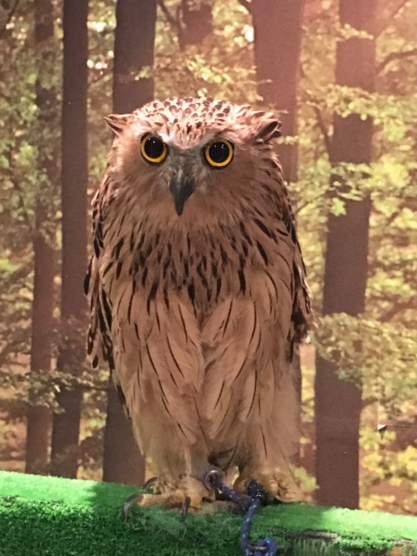 Mr.Tさんのプロフィール画像