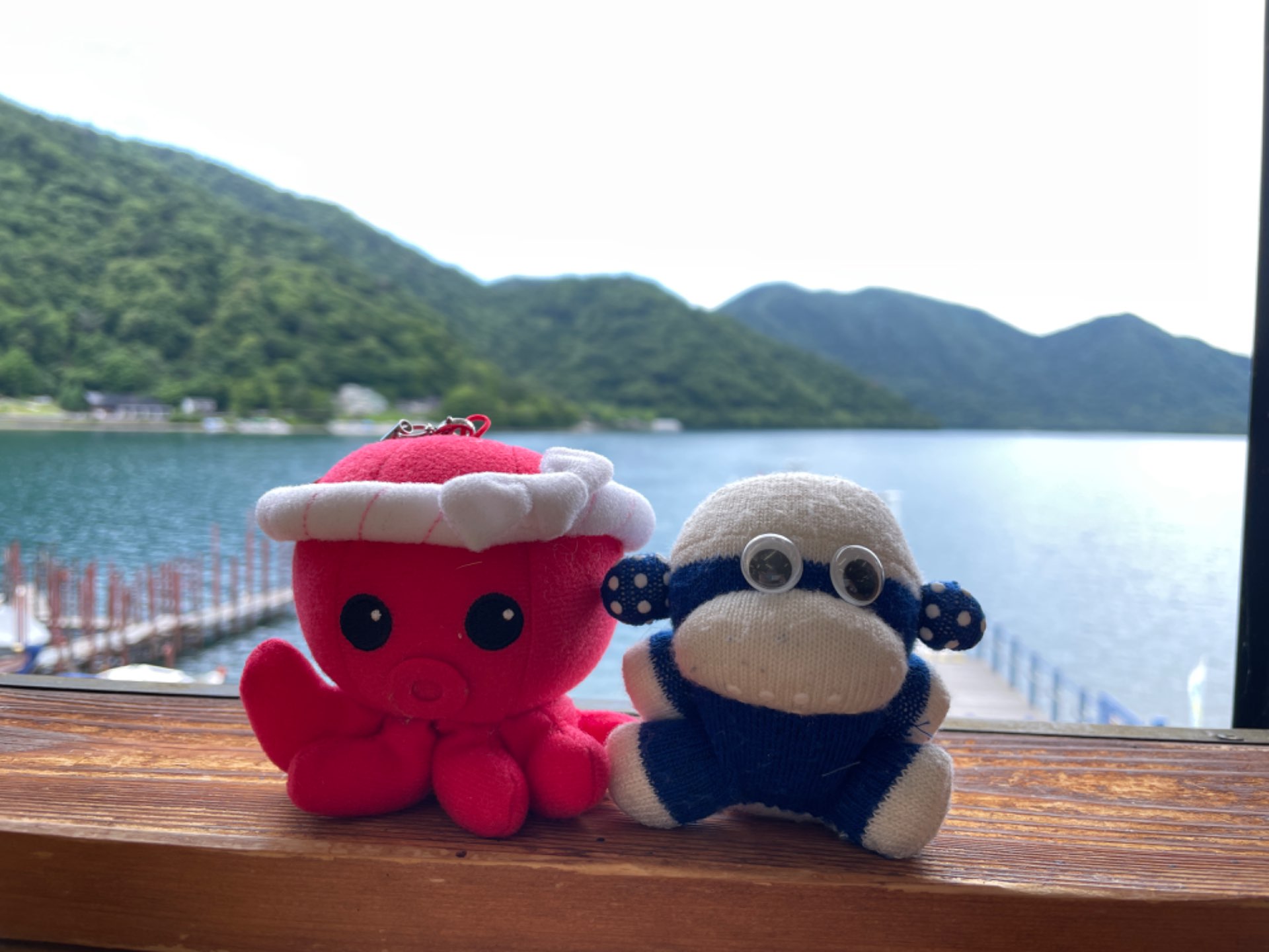 青野命さんのプロフィール画像