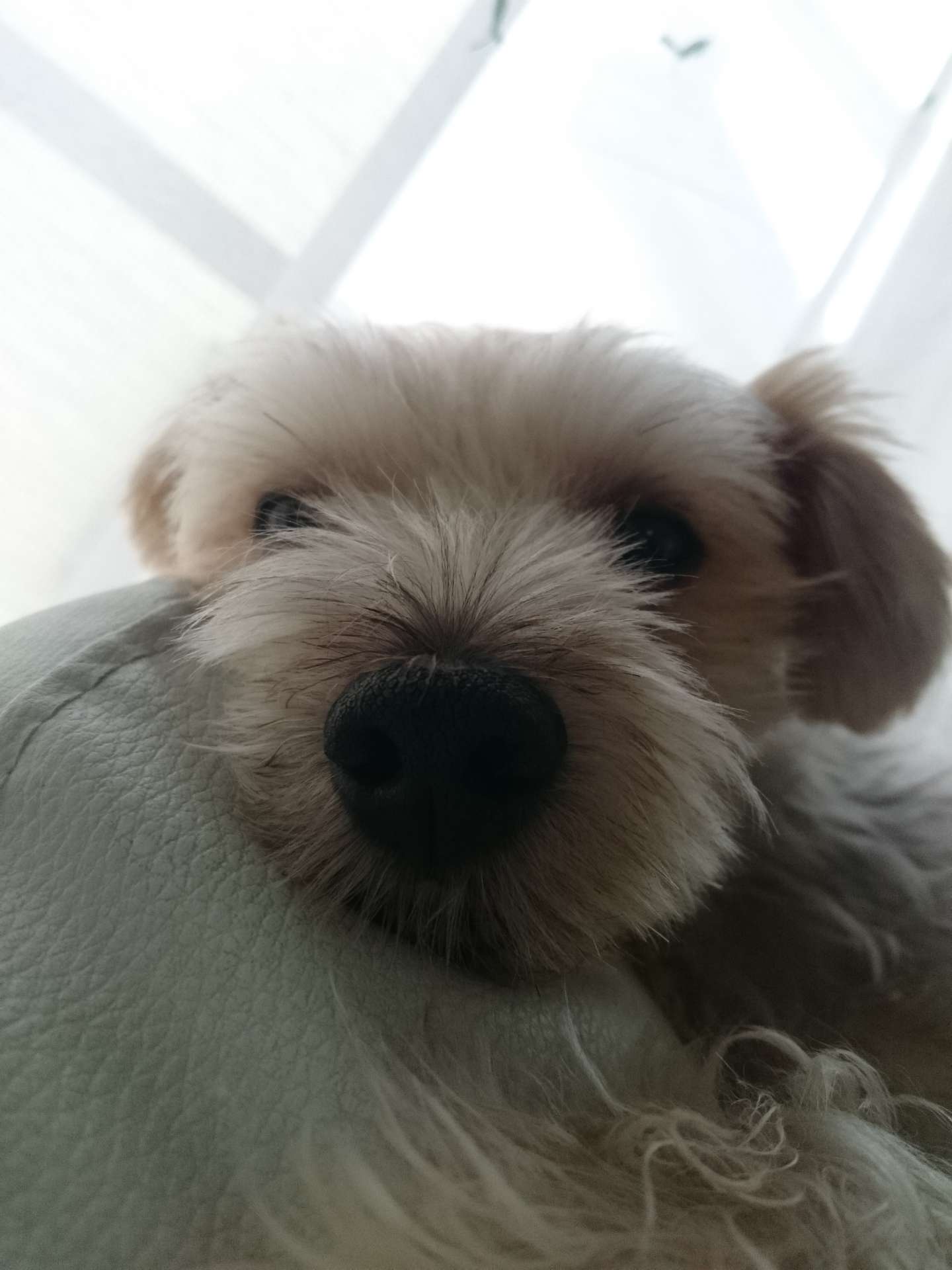 えるすまんさんのプロフィール画像