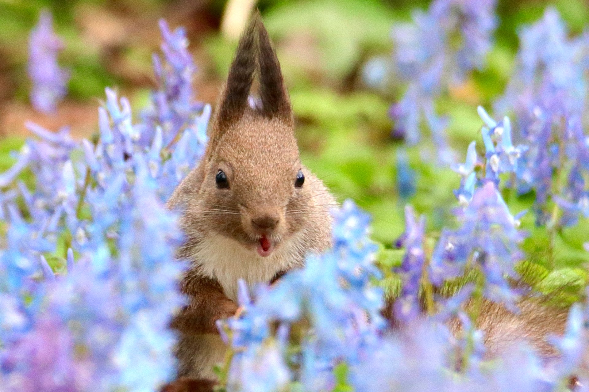 みちたかさんのプロフィール画像