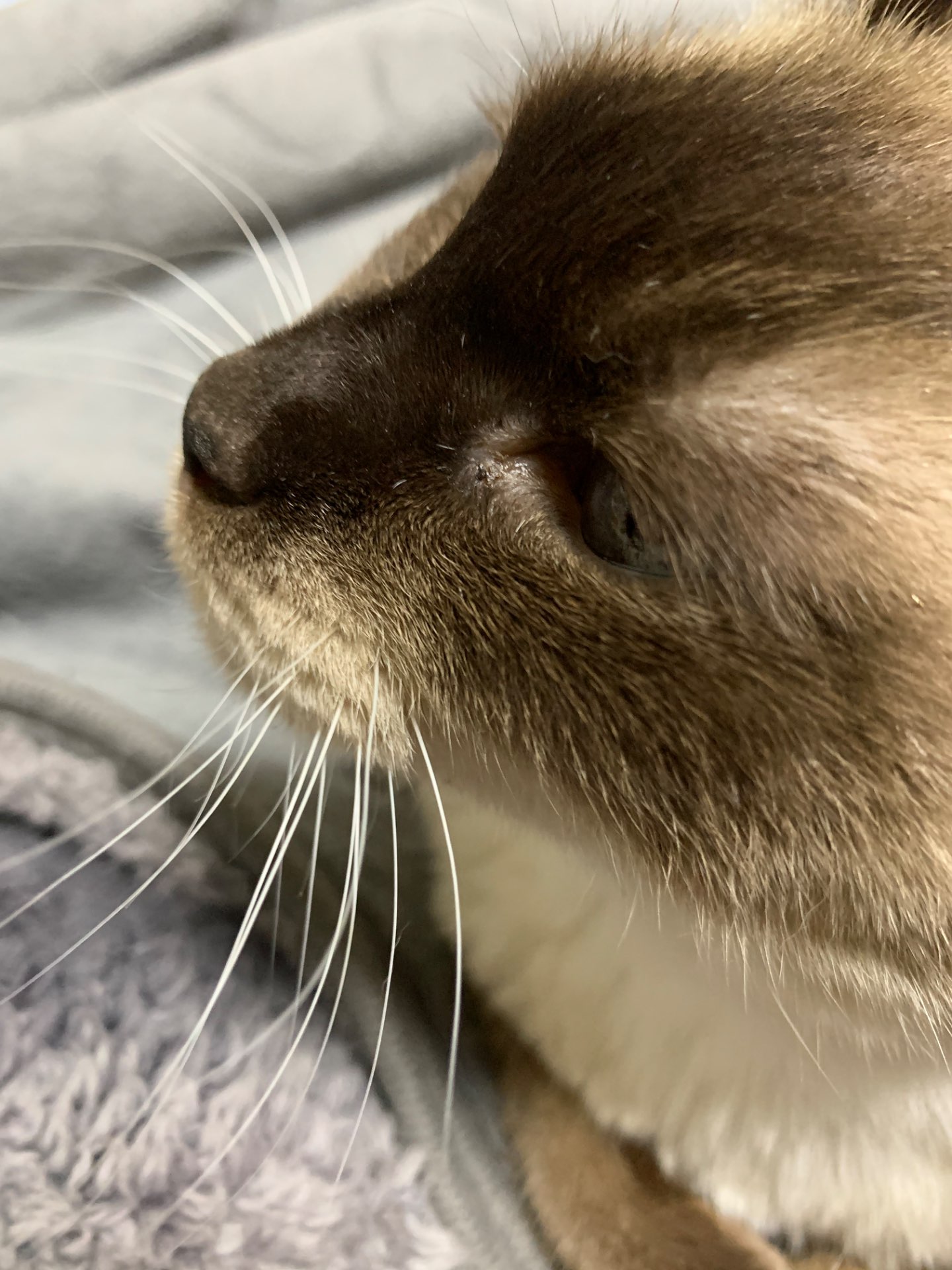 ちーたんさんのプロフィール画像