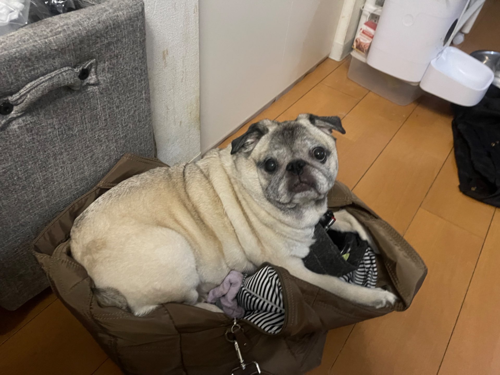 ojiluさんのプロフィール画像