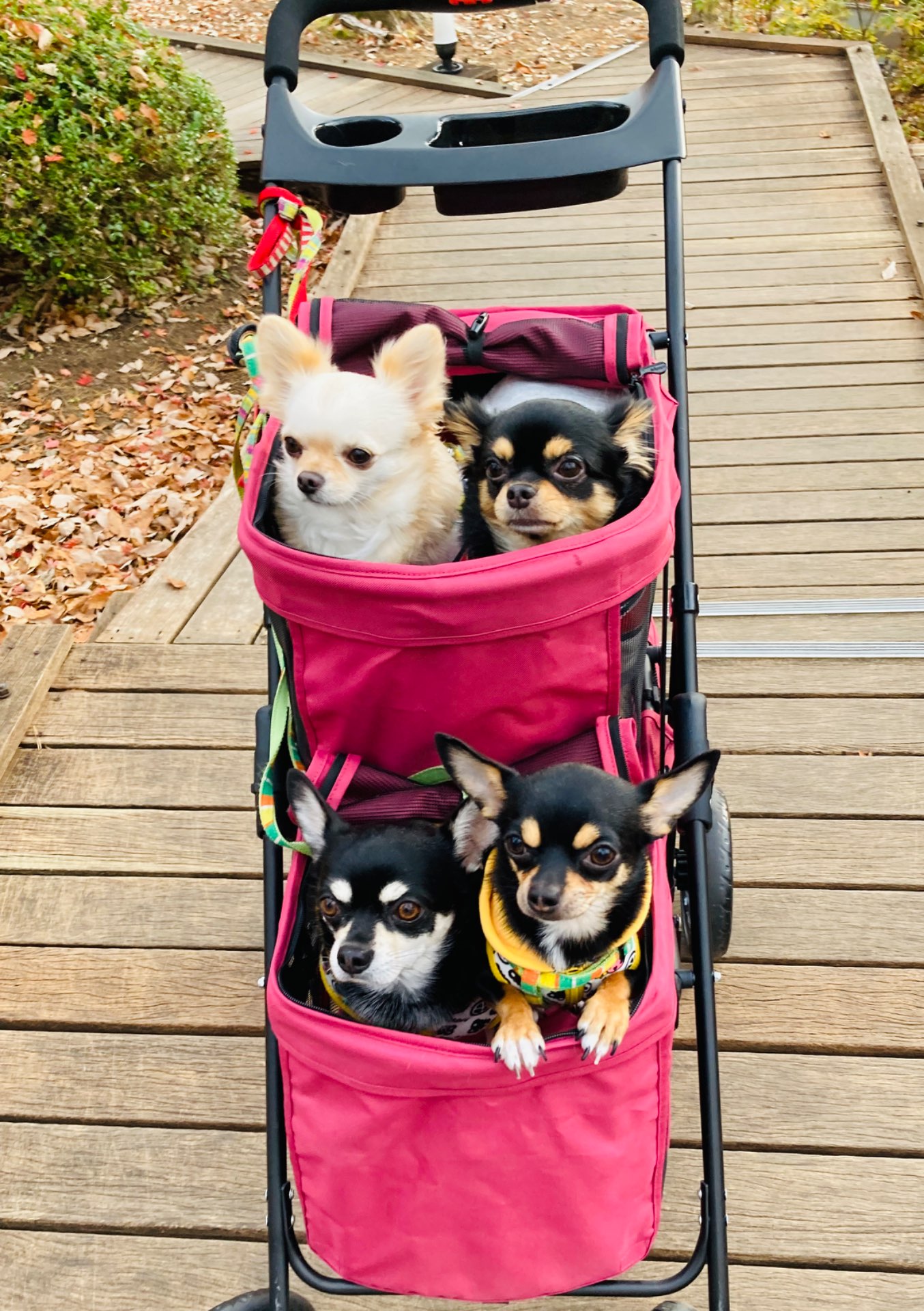 misaさんのプロフィール画像