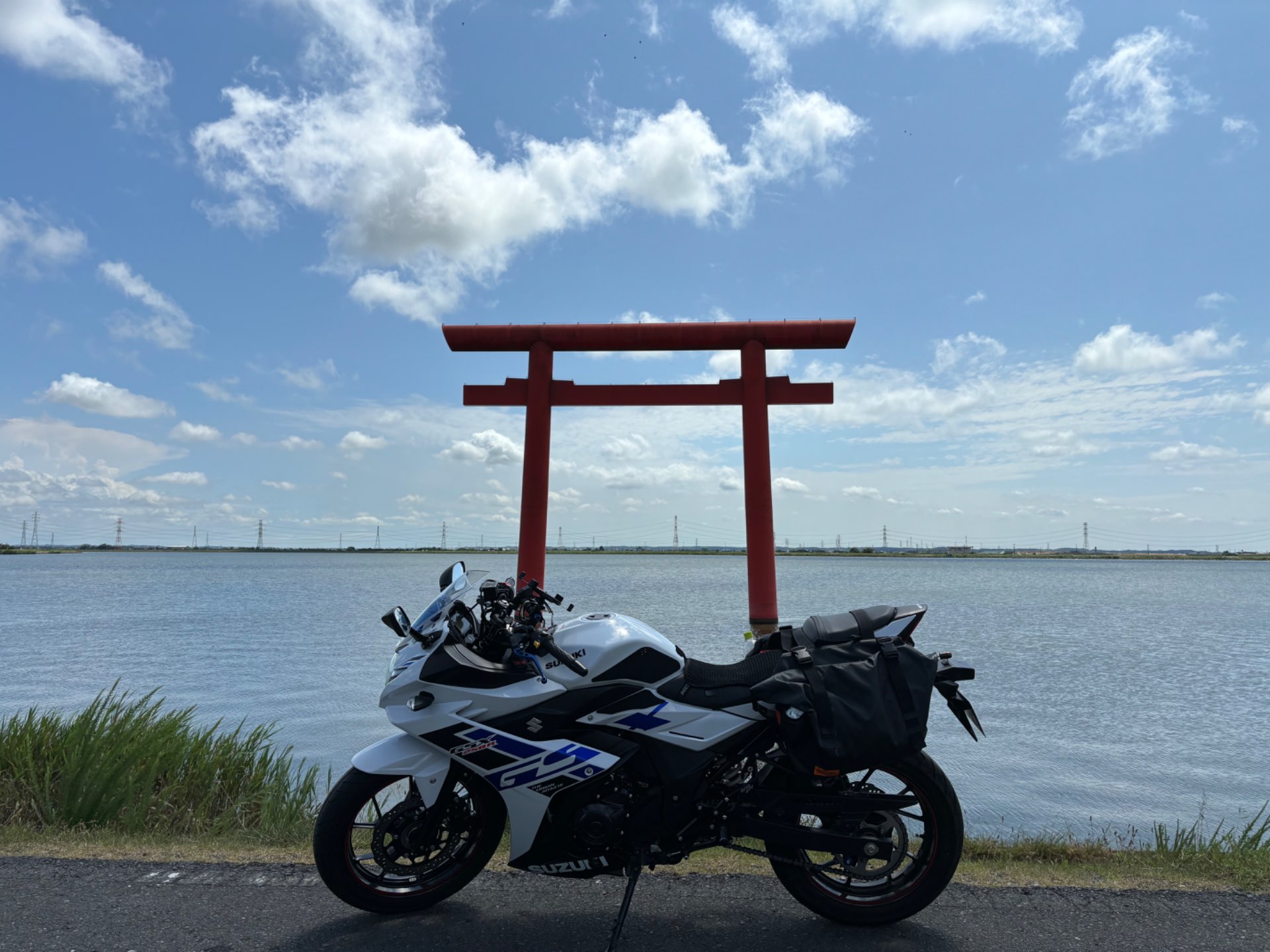 稚羽矢さんのプロフィール画像