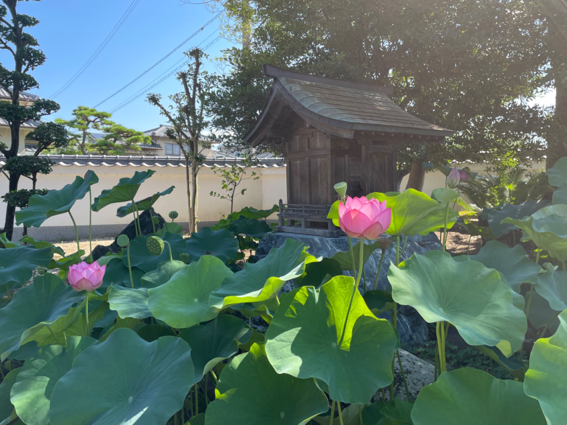 ぽかぽかさんのプロフィール画像