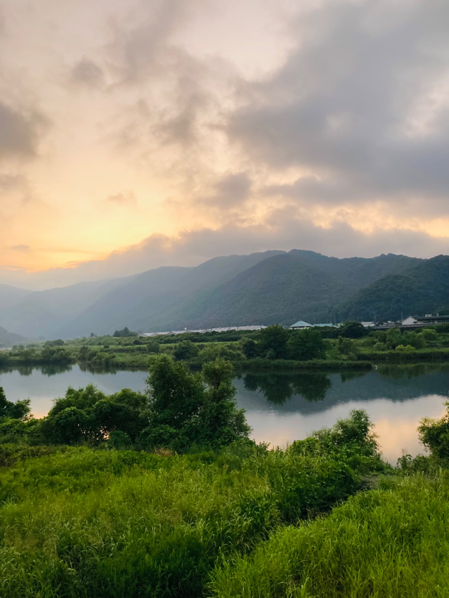 とみさんのプロフィール画像