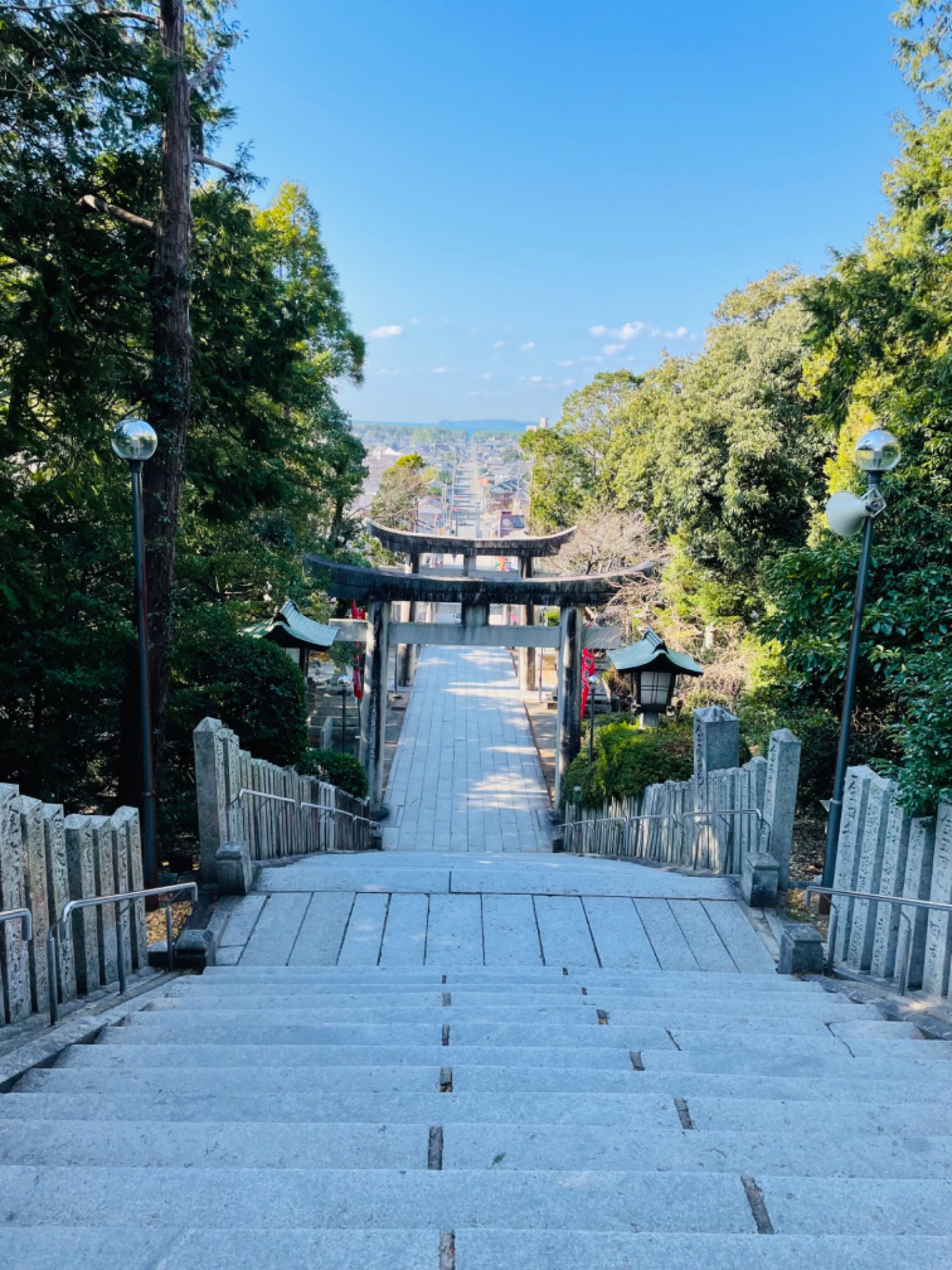 サリーさんのプロフィール画像