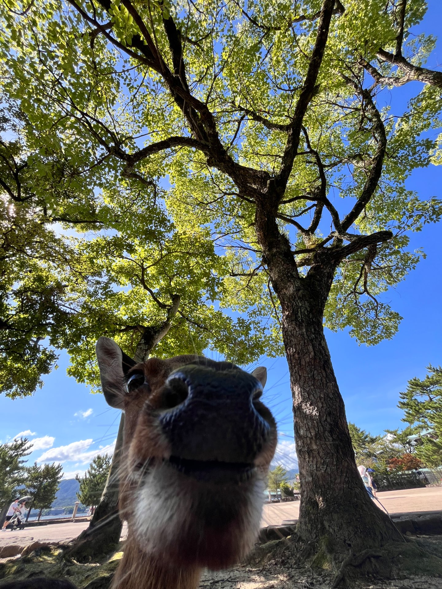 森さんのプロフィール画像