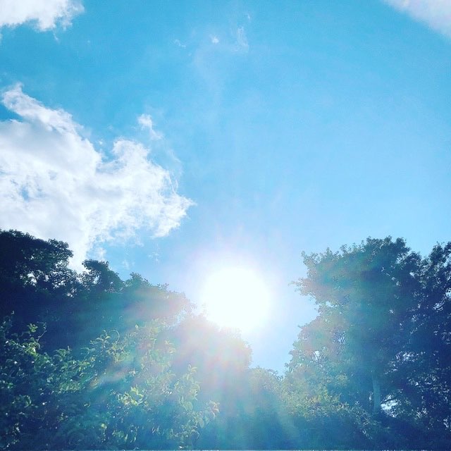 Yujuさんのプロフィール画像