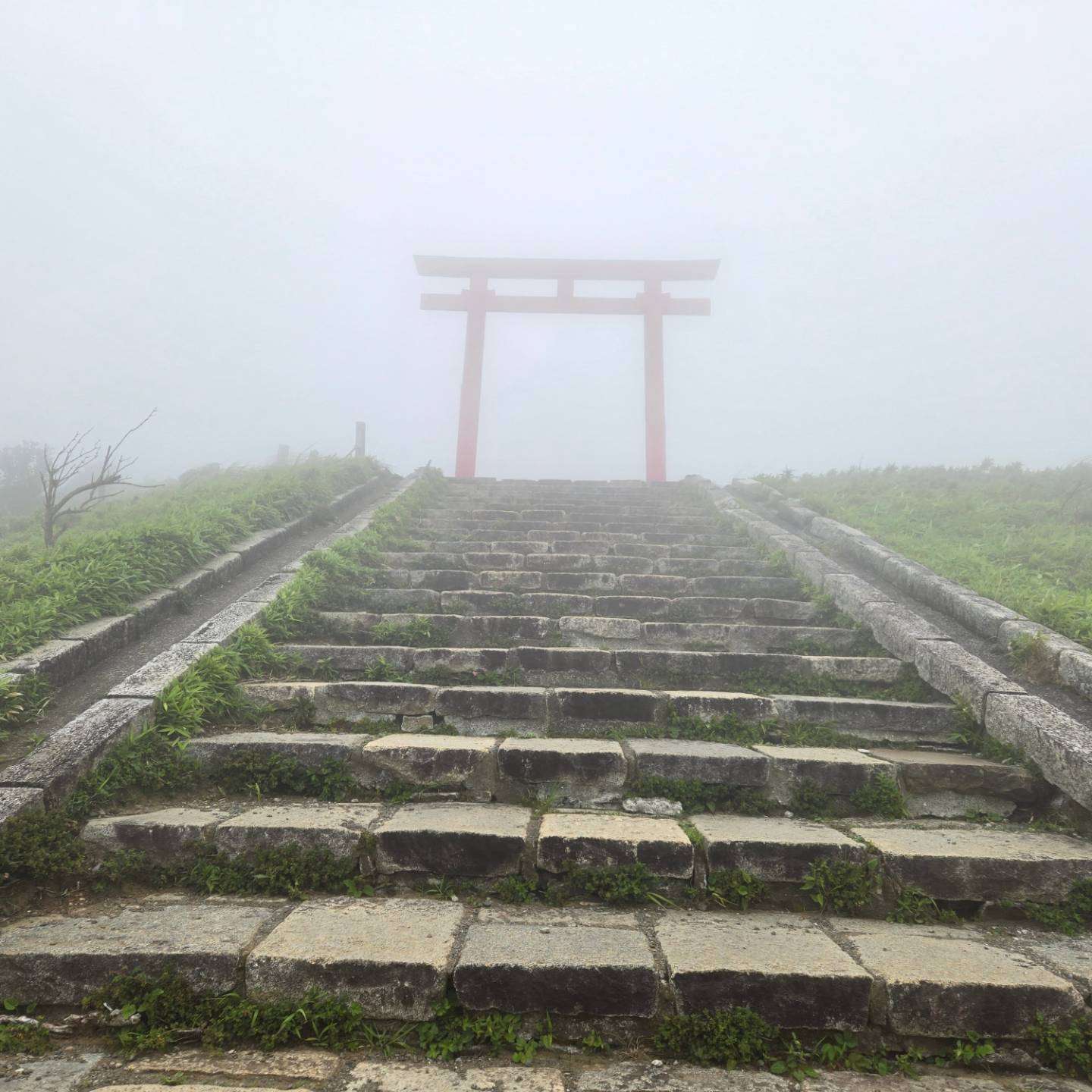 ウッキーさんのプロフィール画像