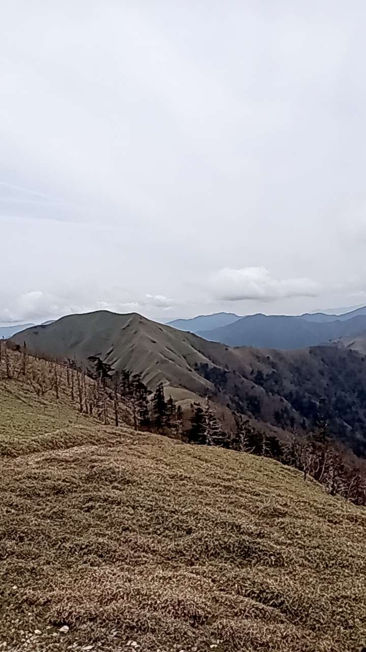 ワンダーさんのプロフィール画像